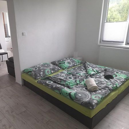 Ubytovani Na Sumave Apartment Horni Vltavice Luaran gambar